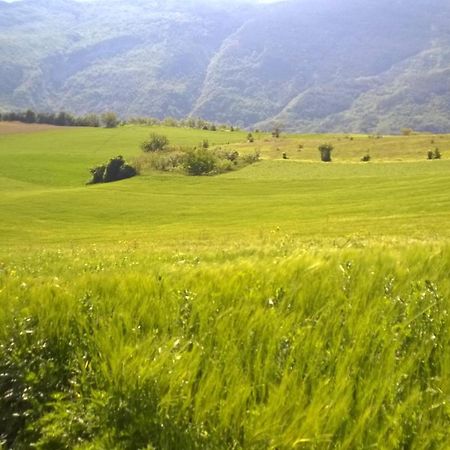 B&B Casale Giovannozzi Ascoli Piceno Luaran gambar