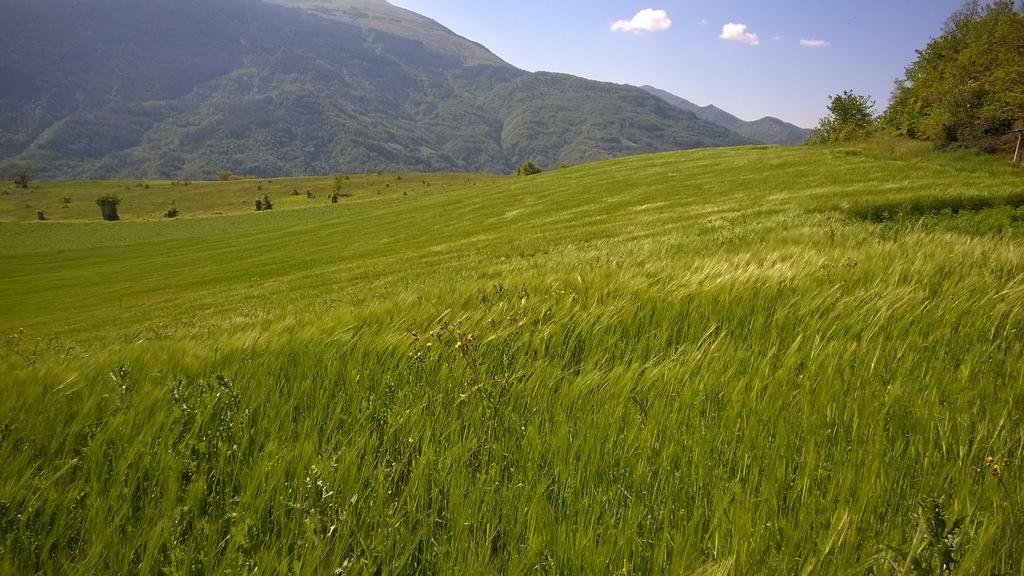B&B Casale Giovannozzi Ascoli Piceno Luaran gambar